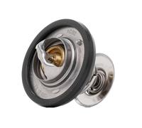 RIDEX Termostato 316T0017 Valvola Termostatica,Termostato Refrigerante FORD,MAZDA,Focus II Station Wagon (DA_, FFS, DS)
