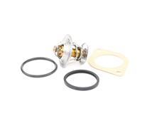Termostato, refrigerante BEHR MAHLE TX 13 87D