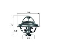 Termostato, refrigerante MAHLE TX 20 80D