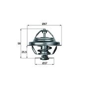 Termostato, refrigerante MAHLE TX 20 80D