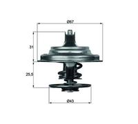 MAHLE TX 23 79D Termostato, refrigerante per ERF,IVECO,MAN,MAZ-MAN,NEOPLAN,SOLAR