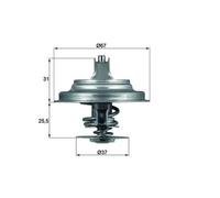 MAHLE Termostato, Refrigerante per AUDI VW CUPRA TX 25 71D