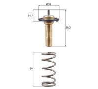 Termostato, refrigerante MAHLE TX 265 89D