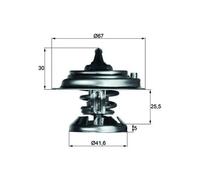 Termostato, refrigerante BEHR MAHLE TX 29 75D