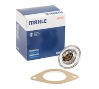 TERMOSTATO REFRIGERANTE FIAT 124 - 125 - 127 BEHR PER 4154313