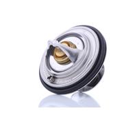 Termostato, refrigerante BEHR MAHLE TX 30 80D