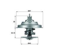 Termostato TX 31 92D S MAHLE per FORD USA MUSTANG Coupé EXPLORER