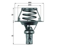 Termostato, refrigerante BEHR MAHLE TX 66 91D