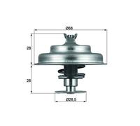 Termostato, refrigerante MAHLE TX 75 80D
