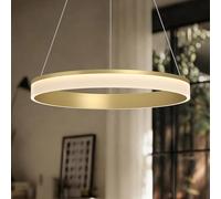 Mai & Mai Lampadario a Sospensione 20W, Lampada 3000-6000K con Filo 110 CM, Altezza Regolabile, Lampada da Soffitto a Sospensione per Camera da Letto e Soggiorno, 40cm, Oro, Luvina02