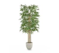 MAIA SHOP Bambù Artificiale 150 cm con Canne Naturali - Pianta Finta Realistica, Albero Decorativo Grande per Casa, Ufficio e Hotel