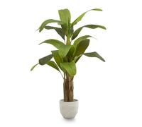 MAIA SHOP Banano artificiale 150 cm, pianta finta da interno con tronco naturale, albero decorativo realistico per casa ufficio hotel