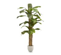 MAIA SHOP Banano artificiale 180 cm, pianta finta grande da interno con tronco naturale, albero decorativo realistico per casa ufficio hotel