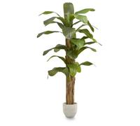 MAIA SHOP Banano artificiale 210 cm, pianta finta grande da interno con tronco naturale, albero decorativo realistico per casa ufficio hotel