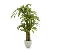 MAIA SHOP Dracaena artificiale 150 cm, pianta finta decorativa iperrealistica, albero tropicale con vaso in plastica per casa ufficio e interni coperti