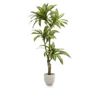 Maia Shop | Dracena Artificiale | Piante Finte da Interno | Misure: 170 x 90 cm | Piante Finte Decorative | Piante Artificiali | Decorazioni casa | Pianta Tropicale