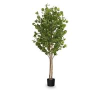 MAIA SHOP Eucalipto artificiale 150 cm, pianta finta da interno con tronco naturale, albero decorativo realistico per casa ufficio hotel