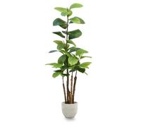 MAIA SHOP Ficus artificiale 150 cm, pianta finta da interno Ficus Elastica iperrealistica, albero decorativo elegante per casa ufficio e hotel