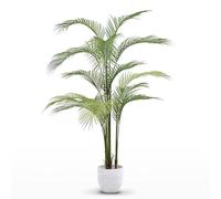 MAIA SHOP Palma artificiale 180 cm, pianta finta da interno iperrealistica, albero decorativo tropicale per arredare casa ufficio e hotel