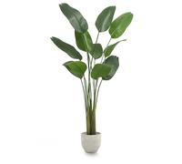 MAIA SHOP Uccello del Paradiso artificiale 210 cm, pianta finta grande da interno Strelitzia con tronco naturale, albero decorativo realistico per casa ufficio hotel
