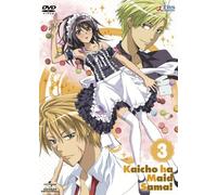 Maid Sama! Vol. 3