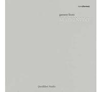 Maifinito. Ediz. italiana e inglese