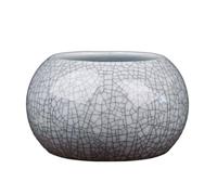 Maigridy Elegante vaso unico per la cultura dell'acqua, contenitore per esposizione da scrivania e disposizione vegetale creativa vaso artistico unico