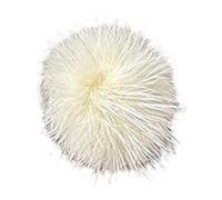 Maillard Look Clip per capelli per ragazze calde pompon peluche fermagli per capelli in peluche frangia coda di cavallo clip per capelli per ragazze adolescenti clip per capelli per donna clip per