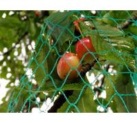 Maillestore Rete Anti-Uccelli - Maglia da 25 mm - Misura Grande Verde 2 m x 100 m