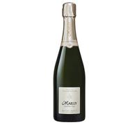 Mailly Extra Brut Millesime Champagne AOC Grand Cru 2019 0,75 l