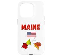 Maine autunno amante souvenir autunno fogliame New England viaggio Custodia per iPhone 15 Pro