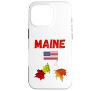 Maine autunno amante souvenir autunno fogliame New England viaggio Custodia per iPhone 16 Pro