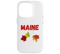 Maine Autunno artistico Foglie autunnali New England souvenir Custodia per iPhone 14 Pro