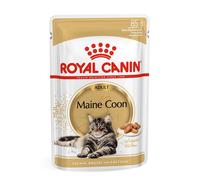 Maine Coon - 85GR
