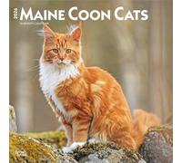 BrownTrout Calendario da parete Maine Coon Cats 2026 appeso 16 mesi 12x24 pollici senza plastica