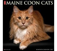 Maine Coon Cats 2027 Wall