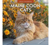 Maine Coon Cats - Calendario da parete quadrato 2026 Red Robin Publishing