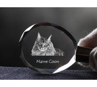 Maine-Coon-Katze, Gatto Cristallo Rotondo Portachiavi, Crystal Animals