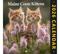 Maine Coon Kittens Calendar 2026: A fluffy adventure with curious whiskers and wide eyes | Kalender Calendario Calendrier