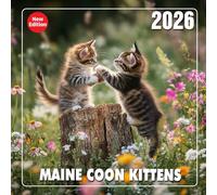 Maine Coon Kittens Calendar 2026: A fluffy adventure with curious whiskers and wide eyes | Kalender Calendario Calendrier