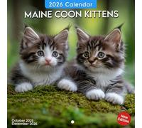 Maine Coon Kittens Calendar 2026: A fluffy adventure with curious whiskers and wide eyes | Kalender Calendario Calendrier
