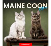 Maine Coon Kittens Calendar 2027: Playful Kitten Photography