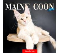 Maine Coon Kittens Calendar 2027: Playful Longhaired Kitten Photography