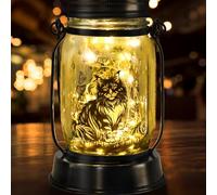 Maine Coon Lanterna solare Maine Coon per donne e uomini, lanterna solare per compleanno, amanti dei gatti, luci commemorative per animali domestici, decorazione solare da giardino esterna per cortile