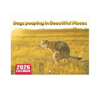 Mainiusi Calendario 2026 per cani da cacca 2026, divertente calendario per cani 2026 Dogs Pooping in Beautiful Places, Pooping Dogs Calendar 2026 Animali, calendario 2026 (giallo)