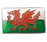 Mainly Metal Spilla smaltata a forma di drago gallese, bandiera del Galles, Saint David Baner Cymru