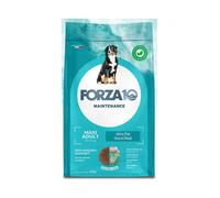 Maintenance Per Cane Adult Maxi Con Pesce Forza10 12kg