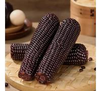 mais - Aiuole rialzate per il giardino mais dolce resistenti in vaso semi di in rialzata Coltivare rampicanti semi di verdi esotiche biologiche 100semi