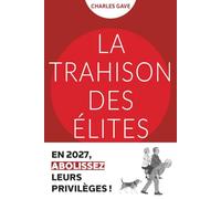 Mais où va le pognon !?!: Comment les élites françaises ont organisé la faillite du pays