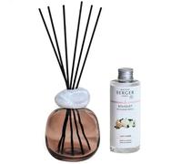 Maison Berger Paris Bouquet profumato Minerale Prugna con Lady Flower 200 ml
